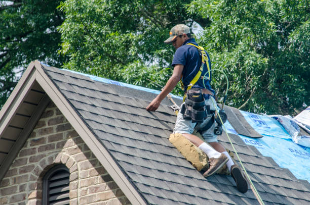 Best Roof Leak Repair  in Victory Gardens, NJ